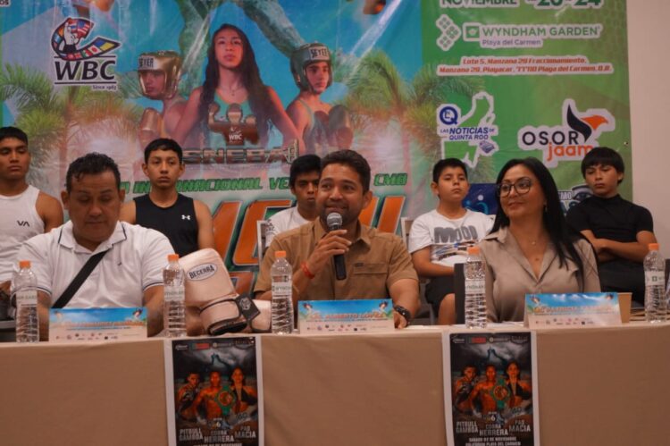 Consejo Mundial de Boxeo