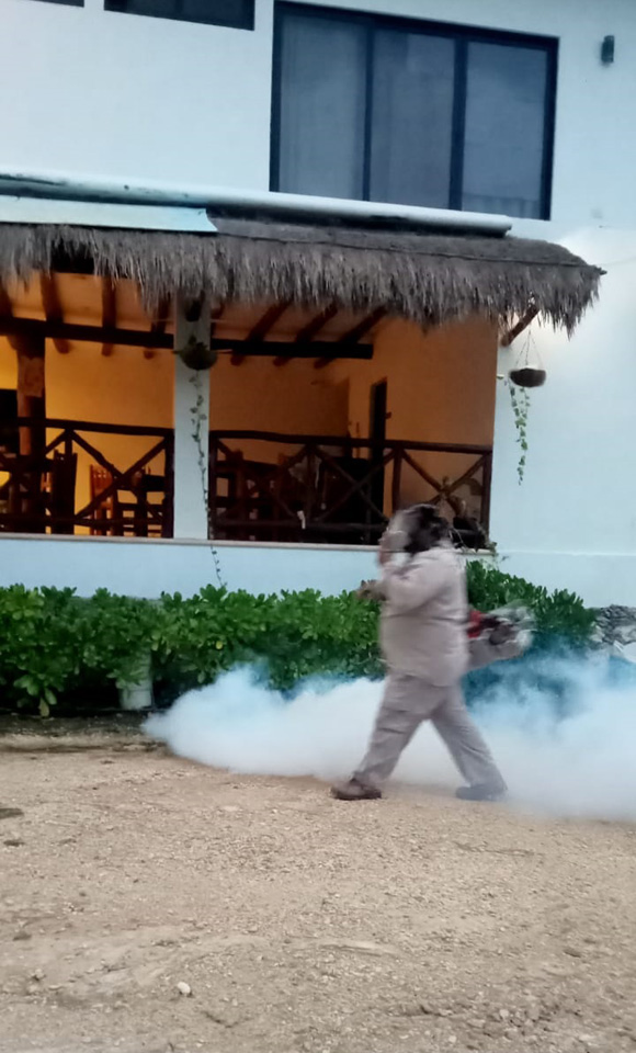Previenen enfermedades en Holbox con jornada de fumigación