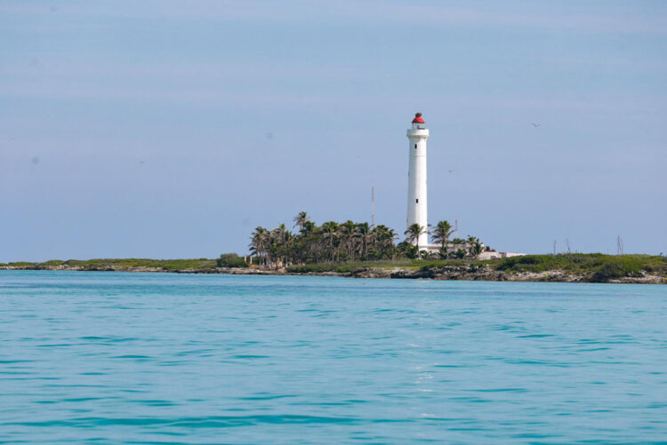 Isla Contoy, experiencia única y joya inigualable de Isla Mujeres