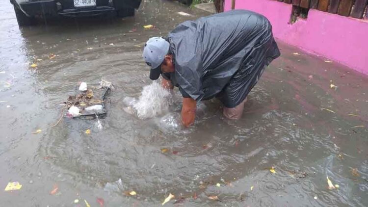Continúa la limpieza del drenaje pluvial en Tulum