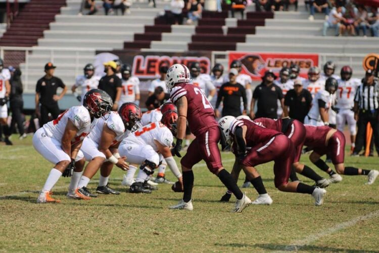 Leones de Anáhuac Cancún, listos para ir por la corona de la Liga Mayor