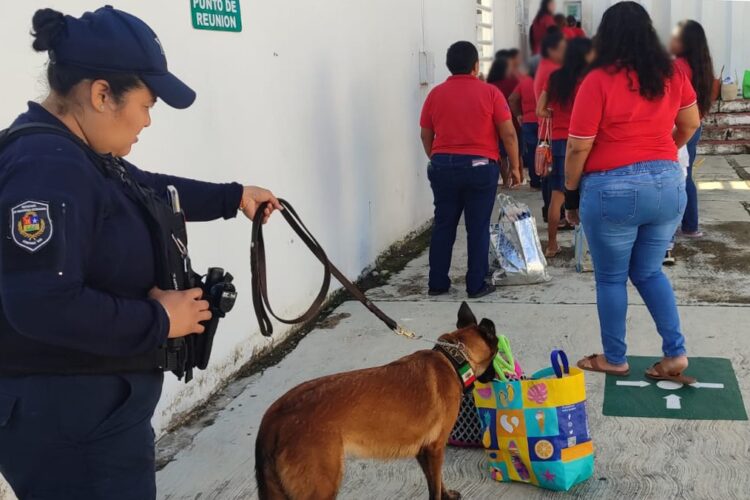 SSC despliega operativos de seguridad en terminales y centros penitenciarios en Quintana Roo