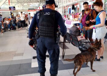 Realizan operativos con  la Unidad Canina K9 en terminales y centros penitenciarios