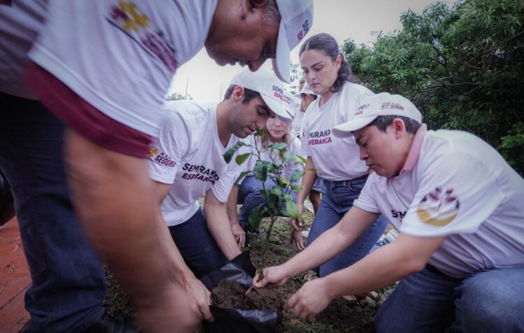 Senador continúa con su compromiso ambiental, plantando 600 árboles en Quintana Roo