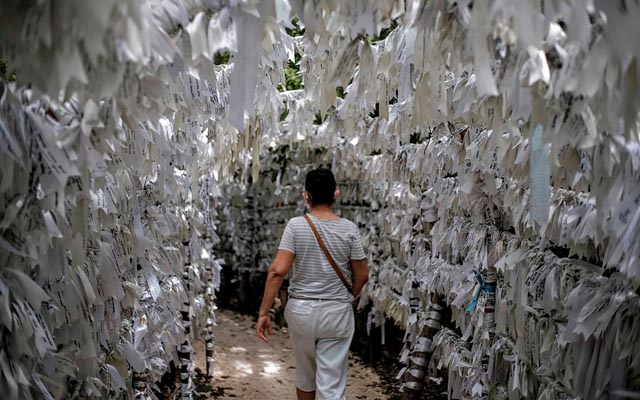 reconciliación y la paz