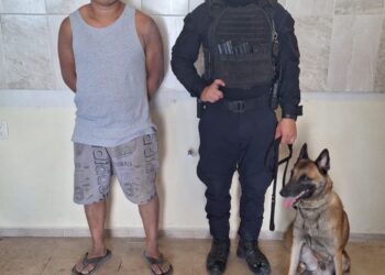 Canino K9