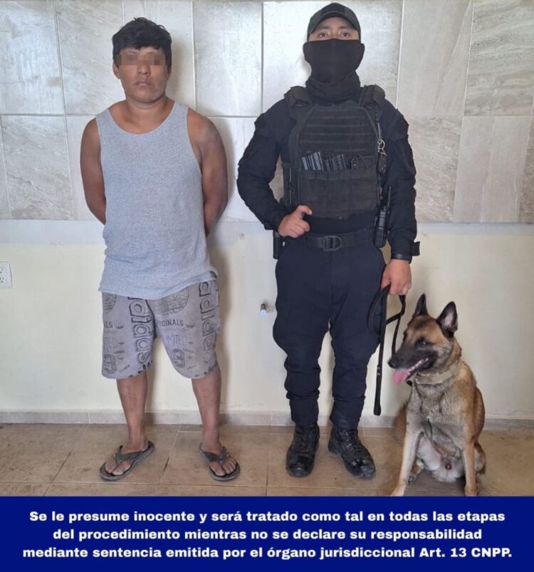 Canino K9