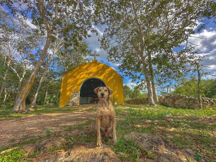 Los fieles guardianes de la capilla de la Guadalupana