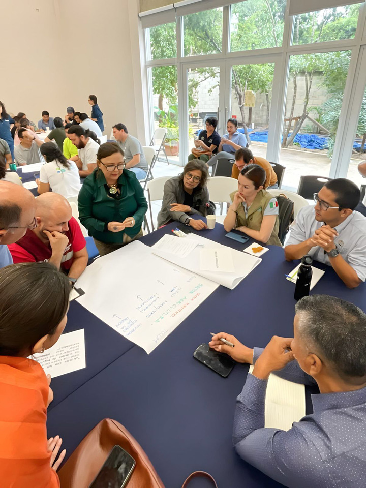 Avanza Tulum en la construcción de su Programa de Ordenamiento Ecológico