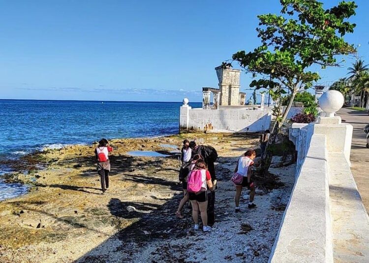 Promueven conciencia ambiental con plática y limpieza de playas en Cozumel