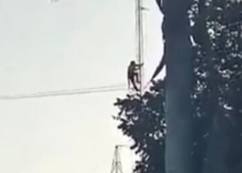 Se entrega ladrón que amenazaba con lanzarse de 30 m de altura en Chetumal