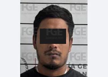 ladrón de vehículos