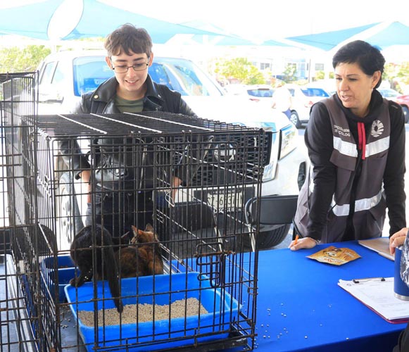 Cancúnenses se suman al cuidado ambiental: éxito en el Reciclatón y Adopta Fest