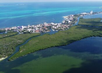 Saneamiento de la Laguna Nichupté, un esfuerzo conjunto para la conservación marina