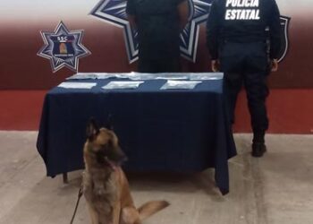 Secretaría de Seguridad Ciudadana