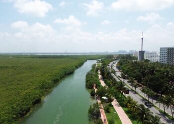 Cancún, sede del Segundo Foro Internacional de Mujeres Naturalistas