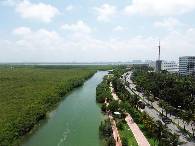 Cancún, sede del Segundo Foro Internacional de Mujeres Naturalistas