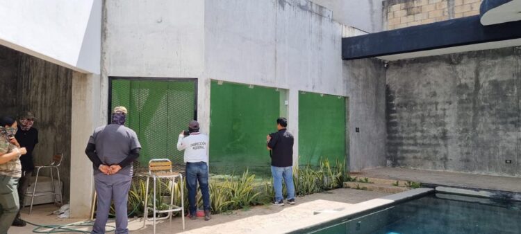 Rescatan a un tigre en Cancún durante operativo en inmueble asegurado