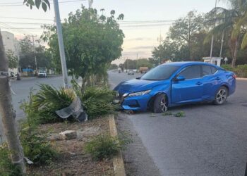 Chocó contra palmera y poste en la Av. Lak’in