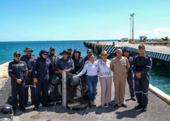 Anuncian la creación de un centro para aprovechamiento del sargazo