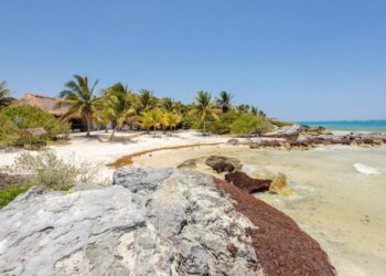 Tulum estrena nuevo acceso a la playa en el Mirador Templo