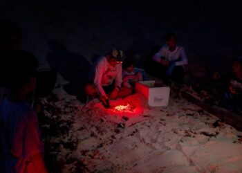 Hallan primer nido de tortuga cahuama y arranca la temporada de protección marina 2025