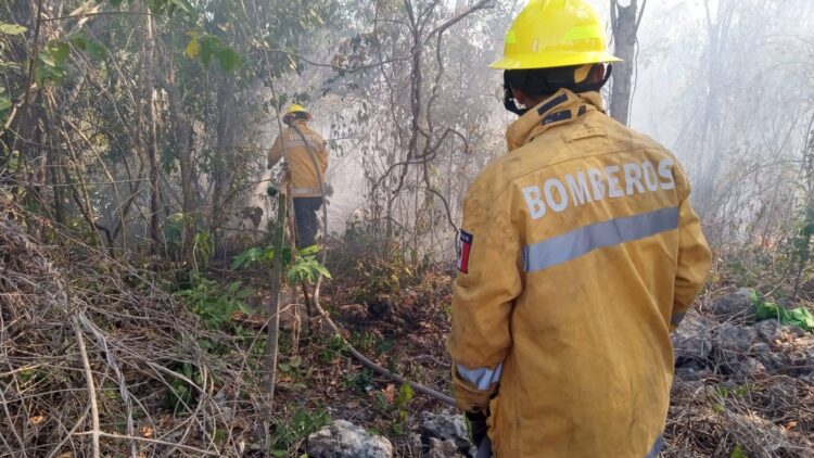 Autoridades combaten tres incendios forestales activos en Playa del Carmen