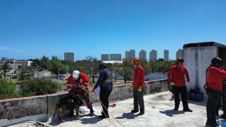 Cruz Roja Cancún refuerza sus capacidades con una unidad canina