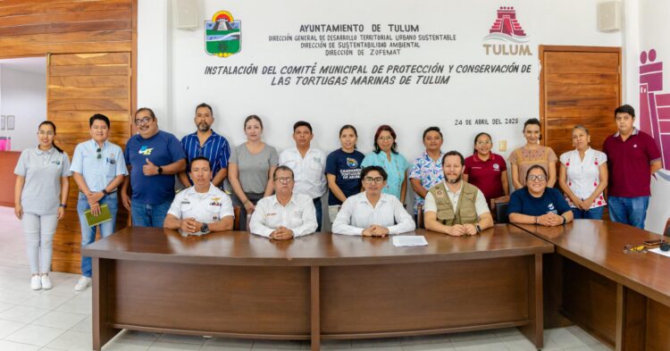 Arranca operativo de protección a tortugas marinas en Tulum