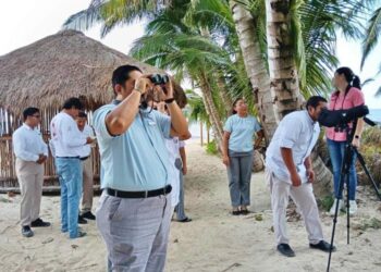 Capacitan al personal de hotel en Cozumel sobre monitoreo de avifauna