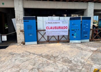 Clausura definitiva y millonaria multa a Dolphinaris Barceló, Riviera Maya, bajo la lupa por maltrato a delfines