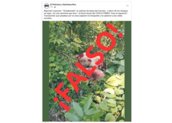 Es Fakenews presunto macabro hallazgo en fraccionamiento Palmas I