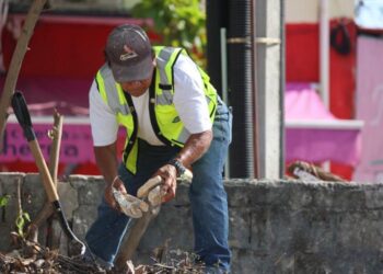Concluyen en Isla Mujeres la limpieza del Cementerio Municipal