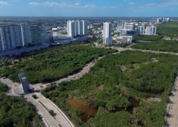 Censos Económicos 2024 revelarán el pulso financiero de Quintana Roo