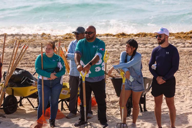 Cancún se une contra el sargazo, más de 300 voluntarios limpian Playa Marlín