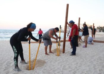 Isla Mujeres intensifica acciones a favor de las tortugas marinas