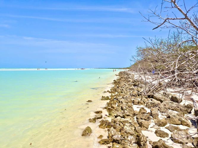 Se mantienen las playas de Holbox libres de sargazo.
