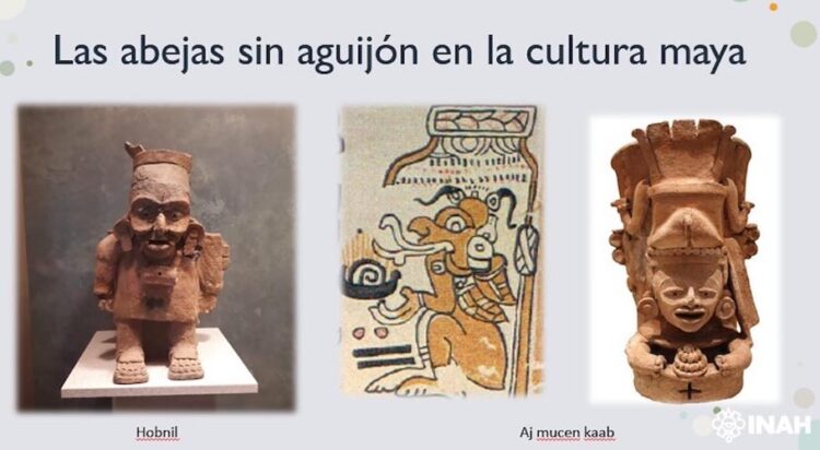 Destacan la herencia maya en la apicultura y la importancia ecológica de las abejas sin aguijón