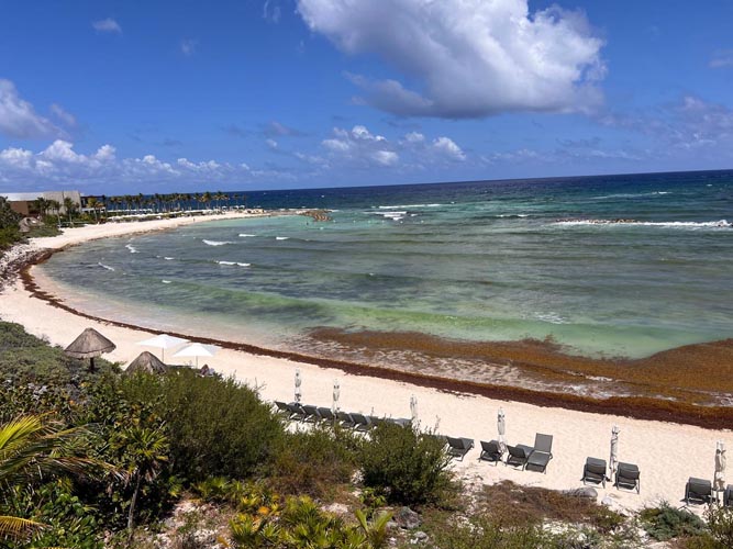 Exigen soluciones reales contra el sargazo en Tulum: Hoteleros piden acciones y no discursos