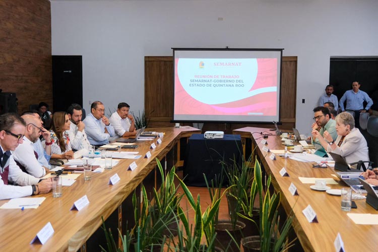 Plantean crear Parque de Economía Circular del Sargazo en Quintana Roo