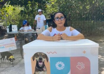 "AdoptaFest" se suma al programa Paseo Cancunense