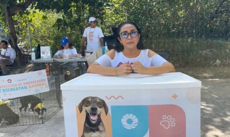 "AdoptaFest" se suma al programa Paseo Cancunense