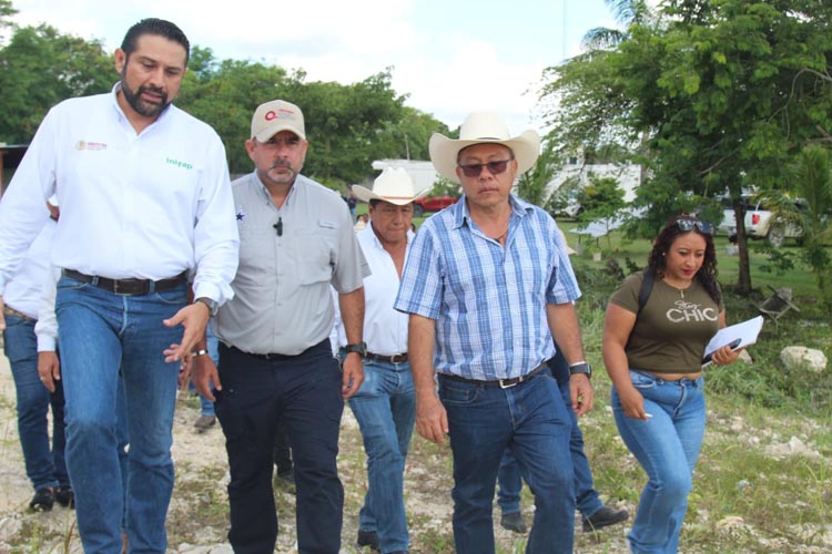 Avanza autoproducción de biofertilizantes en la zona cañera