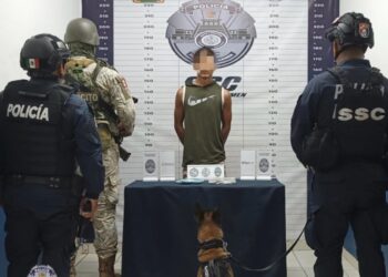 Detienen en filtro carretero de Playa a narcomenudista