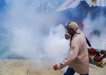 Quintana Roo supera los 100 casos de dengue
