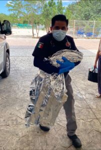 Parto de emergencia moviliza a Protección Civil en Cancún