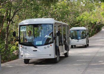 Tulum impulsa iniciativa para acceso gratuito a playas en áreas protegidas