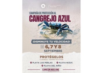 ¡Alerta en la Zona Hotelera!