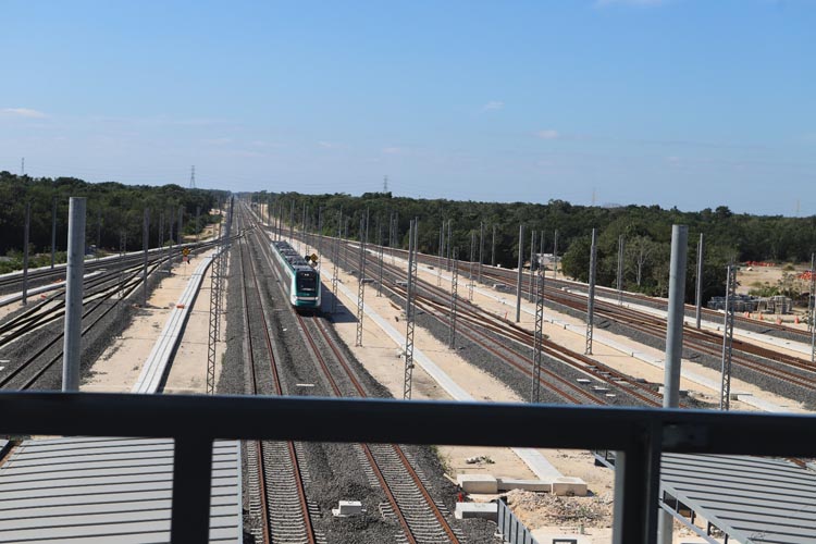 Semarnat autoriza desmonte masivo en Cancún para terminal del Tren Maya