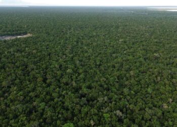 Amigos de Sian Ka'an Se Pronuncia sobre el Proyecto 'Puerta al Mar'
